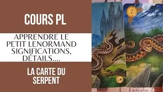 🐍🐢🐊Carte 7 Serpent🐍🐢🐊 Cours Petit Lenormand: significations et détails