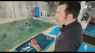 Little Penguin Indoor Fish Feed - Cincinnati Zoo