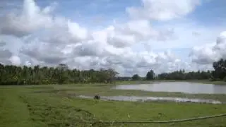 Palendag.wmv
