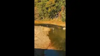 Wilderness Cove Campground | Saluda, North Carolina