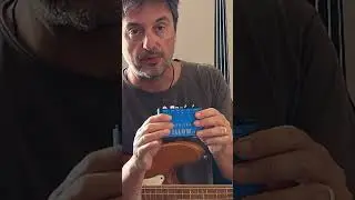 Massimiliano Rolff uses the YELLOW UNO instrument preamp with the electric bass