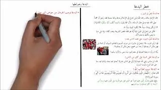 البدعة وضوابطها 2 - خطر البدعة والفرق بين العادات والعبادات - في دقائق
