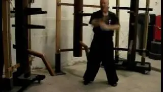 Master Jerry Cook Chinese Boxing 18 set Budda Palm / Wing Chun form5