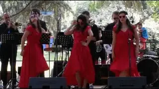 Les Babettes & Mr Wallace All Stars --  Il tuo bacio è come un rock