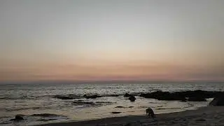 Sea wave sound effect | No Copyright| |Goa beach | Sahil Panchavishe 