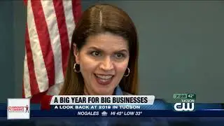 2019 was a big year for big businesses in southern Arizona