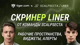 СКРИНЕР LINER ОТ КОМАНДЫ SCALPSECTA &mdash; РАБОЧИЕ ПРОСТРАНСТВА, ВИДЖЕТЫ, АЛЕРТЫ