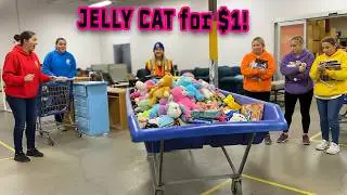 $40+ RARE JELLY CAT Was Hiding in the BINS! 🤯 HUGE Goodwill Haul!