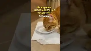 Какие продукты можно кошке? #shorts #кошка