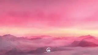 Sensitizer - Desolate Planet