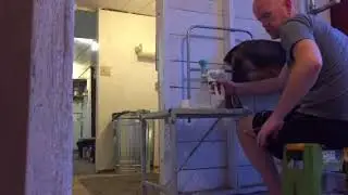 Milking with the Udderly EZ Milker