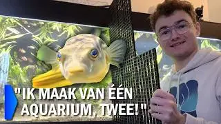 Een scheidingswand plaatsen in het 2 meter aquarium