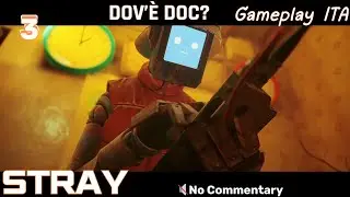 STRAY #3 - L'Arma Contro gli Zurk - Gameplay ITA | Senza Commento