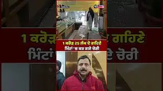 Jewelry worth Rs 1.25 crore stolen in minutes | Vasda Punjab