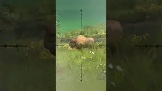 Hunting bighorn sheep - Way Of The Hunter  - Hunting Clash #animals #hunting #gaming