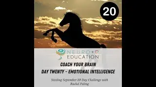 Language Coaching - Rachel Paling Blog - Coach Your Brain - Day 20 - Emotional Intelligence