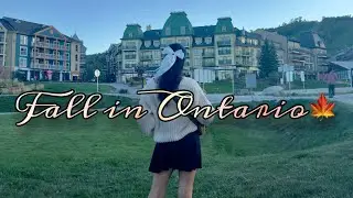 Ontario&rsquo;s Hidden Gems in Fall 🍂