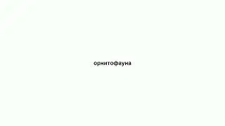 орнитофауна