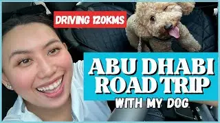 Driving to Abu Dhabi with my Dog (Friends catch-up + Ladies' Night Sleepover at @Le Royal Meridien Abu Dhabi)