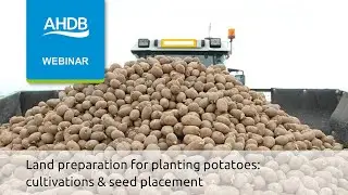 Land preparation for planting potatoes: cultivations & seed placement