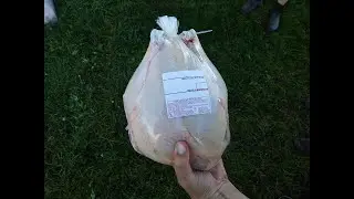 How We Package Our Chickens After Butchering.