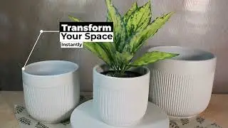 🌿 Textured White Planters | Modern Ceramic Pots for Elegant Home D&eacute;cor