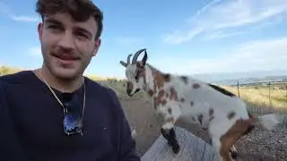 POLSON, MONTANA! GOAT VLOG!