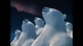 Classic Coca-Cola Polar Bear Commercial (1993)