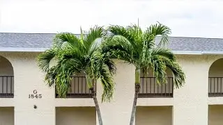 1845 Cobia Drive unit: G104, Vero Beach, FL Presented by Joseph Walsh.