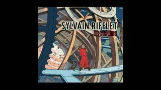Sylvain Rifflet - Origamis - Mechanics