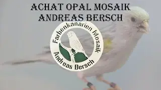 Andrea Bersch - Opalkanarien