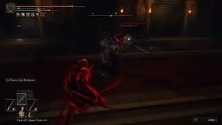 ELDEN RING - 2 vs 2 NPC Invasion - Get the Raging Wolf armor set