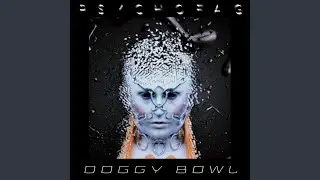 Doggy Bowl