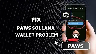 How to Fix Paws Solana Wallet Issues
