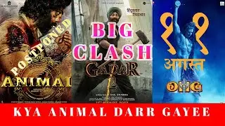 ANIMAL GADAR OMG2 BIG CLASH WHY ANIMAL POSTPONED