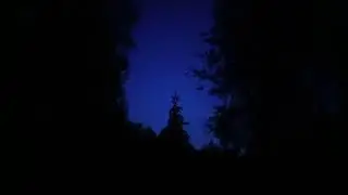 D&oslash;dslakt-resurrection of evil