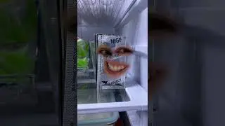 XAVIAX, my best friend for my healthy life