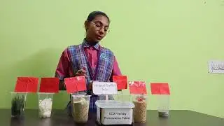 Eco friendly preservative tablet 