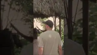 This Amazon Ecolodge Just Won Big 🏆🌿