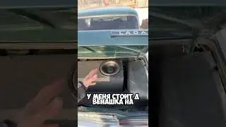 Сабвуферный динамик AMP MASS 500 12D2