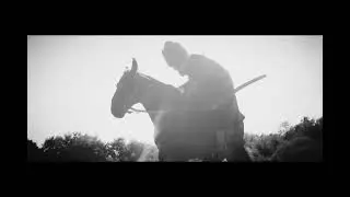 kabardian horse