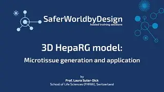 SWdB trainings: 3D cell culture Session 2.0