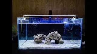 Gila Senang!! CARA SETUP AKUARIUM AIR MASIN/SALTWATER FOWLR MALAYSIA