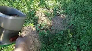 Piggy's Piddles Episode 85 - Putting out insect repellant