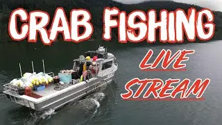CRAB FISHING LIVE