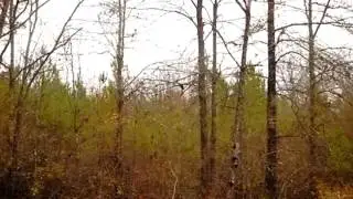Homes for Sale - 3001 NW Sallywhite Road - Thomson, GA 30824 - Marion Hester