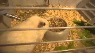P1010422