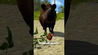 ДЕНЬ ВЛЮБЛЁННЫХ в Rust/Раст! #rust #раст