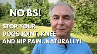 Turmeric Stopped My Dogs Knee and Hip Pain!