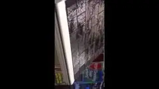 Ever Clean Clog Free Gutter